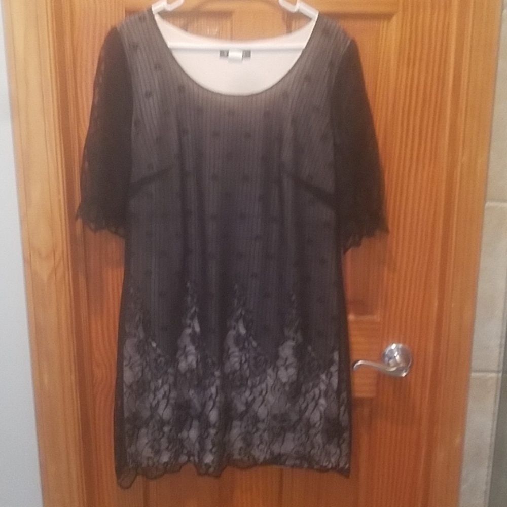 Lace Embroidered Dress